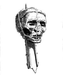 Tales of Heads: Famous and Infamous Cromwell's Head as exposed after his post-mortem decapitation. From Wikipedia Commons