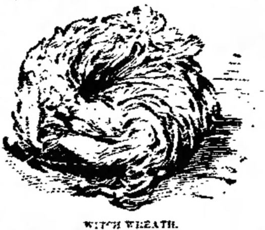 The Witch Wreath donated to the University of Pennsylvania museum.