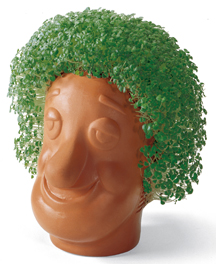 http://www.jweekly.com/article/full/62011/seed-money-chia-pet-marketing-genius-shares-good-fortune-with-hillel-charit/