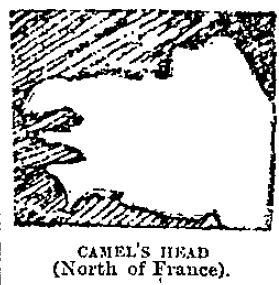 camel head map face
