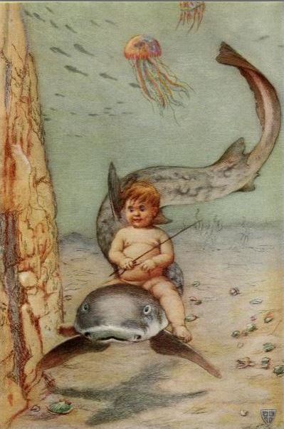 Merbaby riding a shark, 1890s