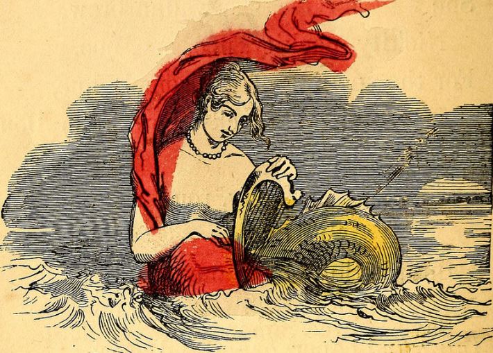 A mermaid wearing a red scarf plucks a woefully undersized harp. c. 1800 