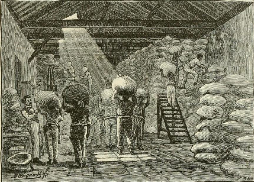 The Haunted Enghenio A coffee warehouse in Brazil, 1879