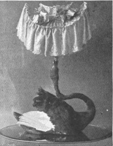 Black Swan table lamp.
