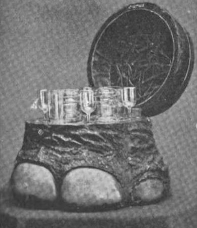 Elephant’s Foot as Liqueur Stand