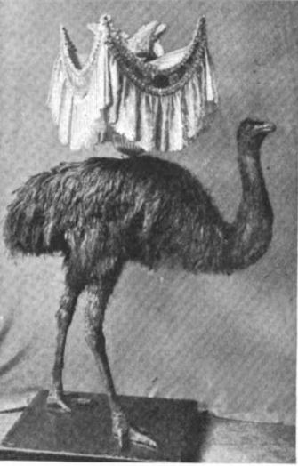 An Emu Lamp