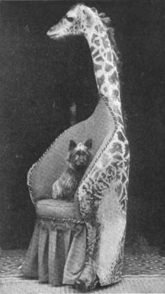 Chair Made from a Baby Giraffe