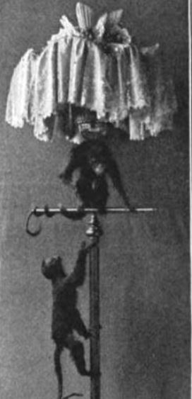 Pet monkeys mounted on a floor lamp.